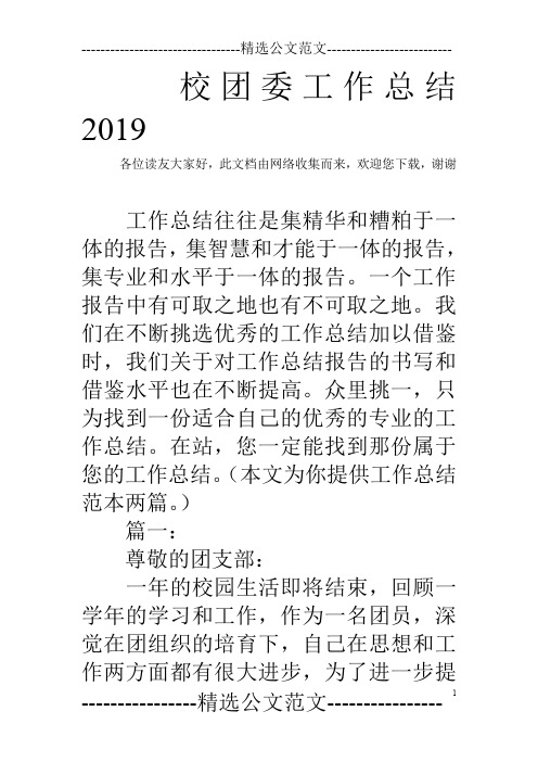 校团委工作总结2019