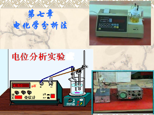 第7章 电化学分析法