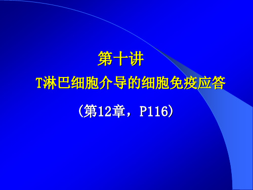 T淋巴细胞介导的细胞免疫应答