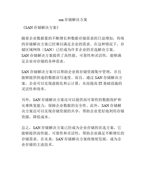 san存储解决方案