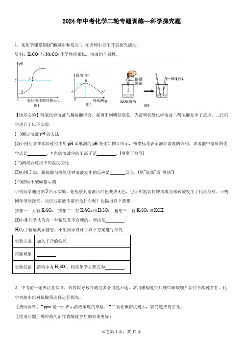 2024年中考化学二轮专题训练--科学探究题