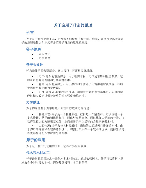 斧子应用了什么的原理