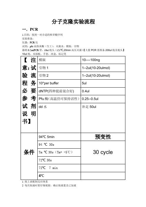 分子克隆