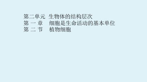 七年级上册生物学人教版第二单元生物体的结构层次第一章细胞是生命活动的基本单位2.1.2植物细胞 课件