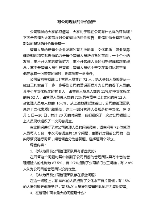 对公司现状的评价报告