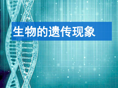 苏教版六年级下册科学 1.生物的遗传现象