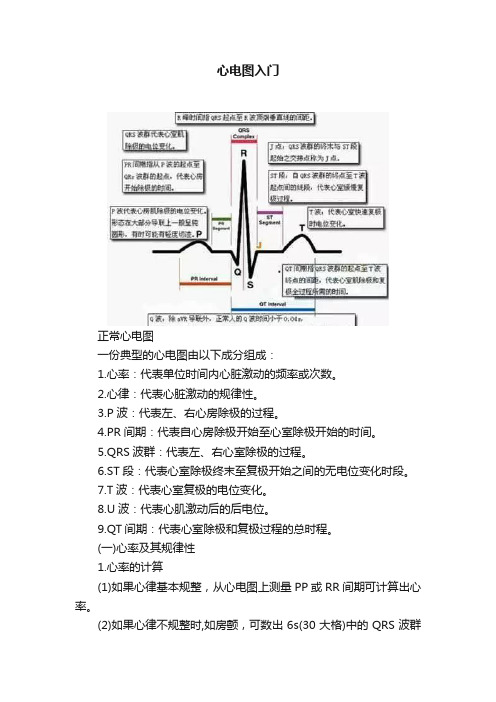 心电图入门