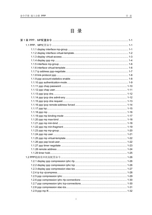 16-PPP命令