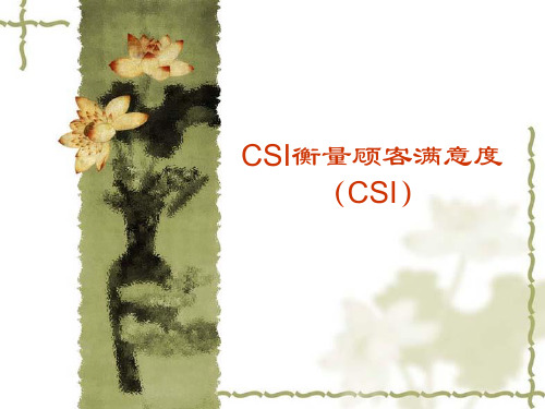 CSI衡量顾客满意度