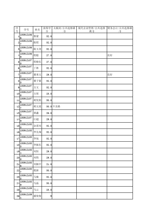 13信息2班成绩汇总