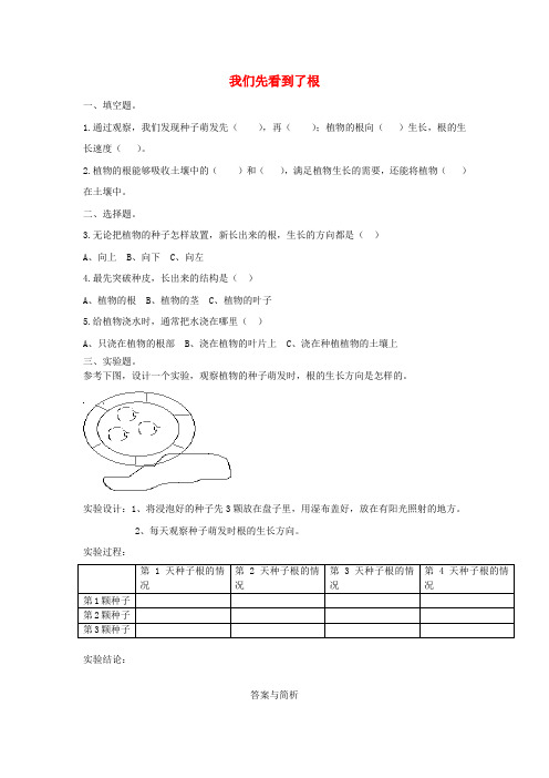 三年级科学下册 1.3《我们先看到了根》练习题 教科版