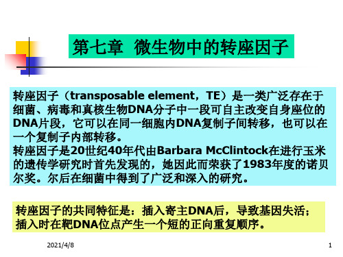 第七章微生物中的转座因子