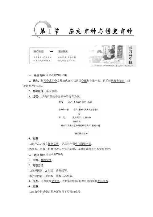 2017-2018学年高一生物人教版必修二教学案：第6章 第1节 杂交育种与诱变育种 Word版含答案