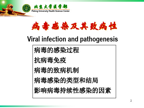 微生物学 病毒感染及其致病性