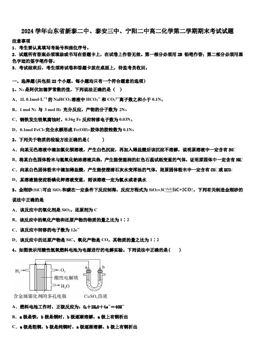 2024学年山东省新泰二中、泰安三中、宁阳二中高二化学第二学期期末考试试题(含解析)