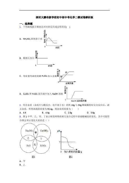 深圳大鹏布新学校初中部中考化学二模试卷解析版