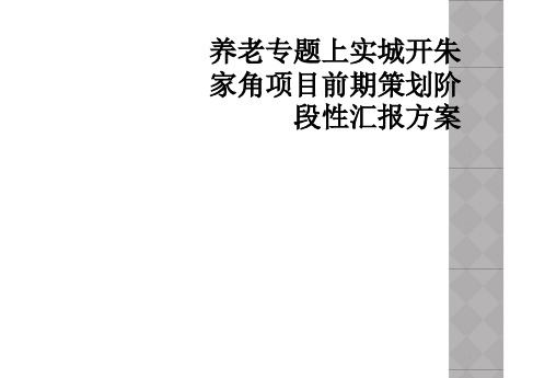 养老专题上实城开朱家角项目前期策划阶段性汇报方案