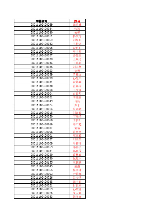 新建 Microsoft Excel 工作表