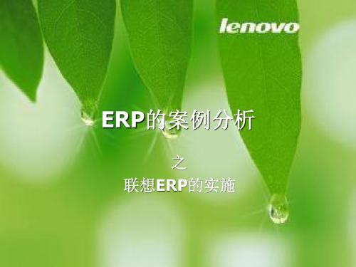 ERP的案例分析