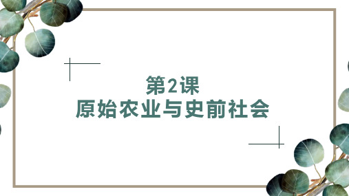 原始农业与史前社会ppt课件