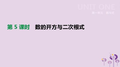 2019年中考数学总复习第一单元数与式第05课时数的开方与二次根式课件湘教版