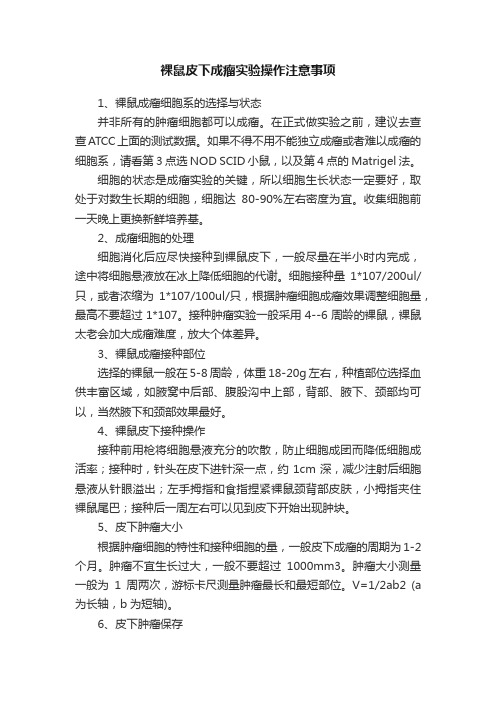 裸鼠皮下成瘤实验操作注意事项