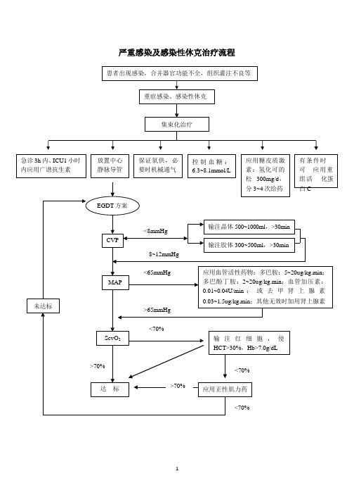 2、严重感染及感染性休克的抢救流程.pptx