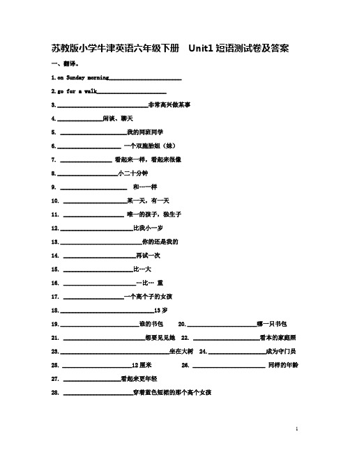 苏教版小学牛津英语六年级下册  Unit1短语测试卷及答案