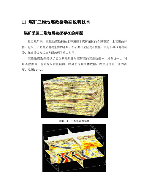 物探新方式新技术之十一:煤矿三维地震数据动态说明技术