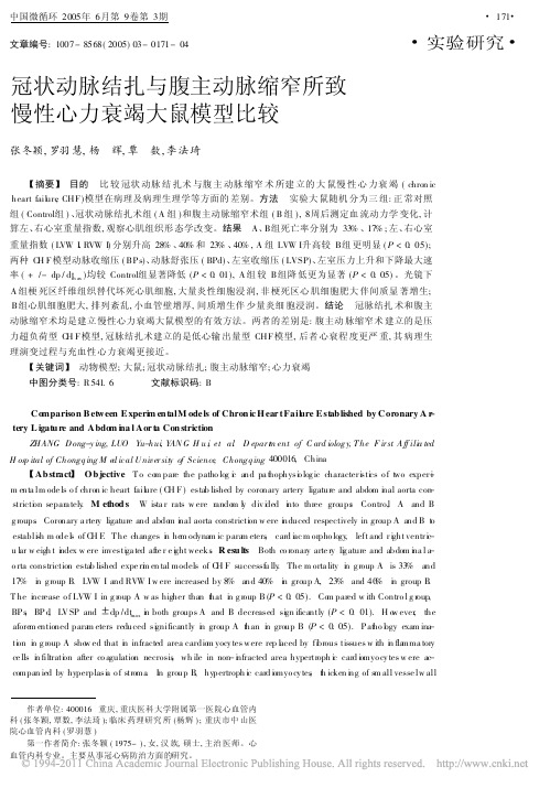 冠状动脉结扎与腹主动脉缩窄所致慢性心力衰竭大鼠模型比较_张冬颖