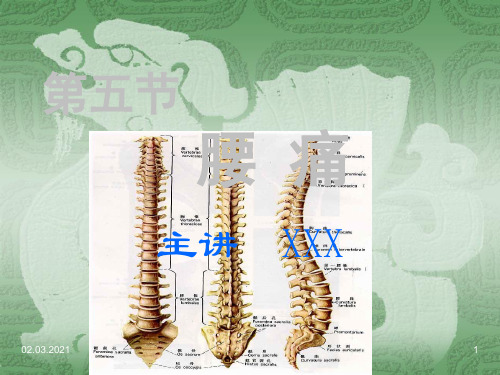 中医内科学--第五节  腰    痛-PPT文档资料