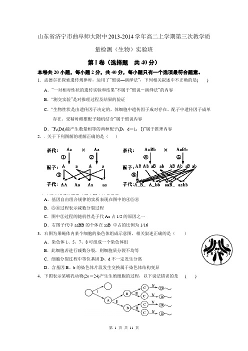 山东省济宁市曲阜师大附中2013-2014学年高二上学期第三次教学质量检测(生物)实验班