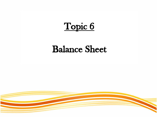 T6_Balance Sheet 资产负债表附表 英文