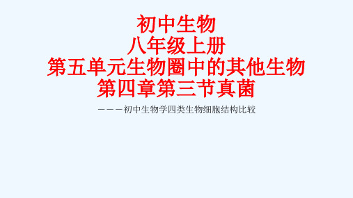 生物人教版八年级上册植物、动物、细菌和真菌细胞比较