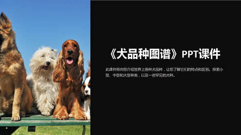 《犬品种图谱》课件