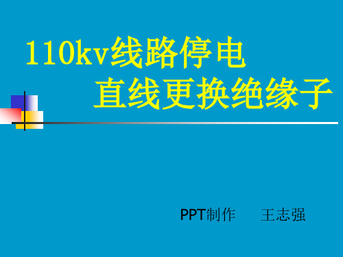 110kv更换绝缘子