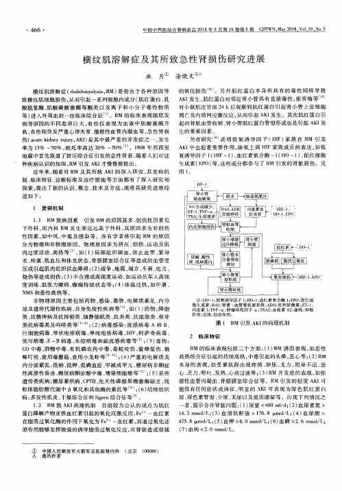 横纹肌溶解症及其所致急性肾损伤研究进展