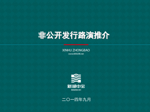 新湖中宝非公开发行路演推介 0911PPT课件