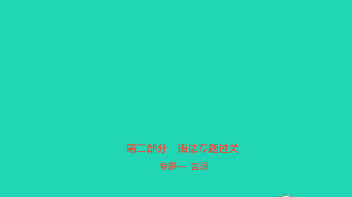 安徽省2023中考英语第二部分语法专题过关专题一名词课件