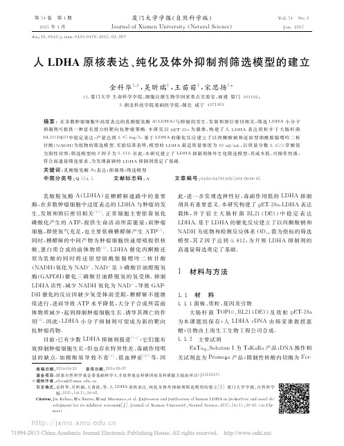 人LDHA原核表达_纯化及体外抑制剂筛选模型的建立_金科华