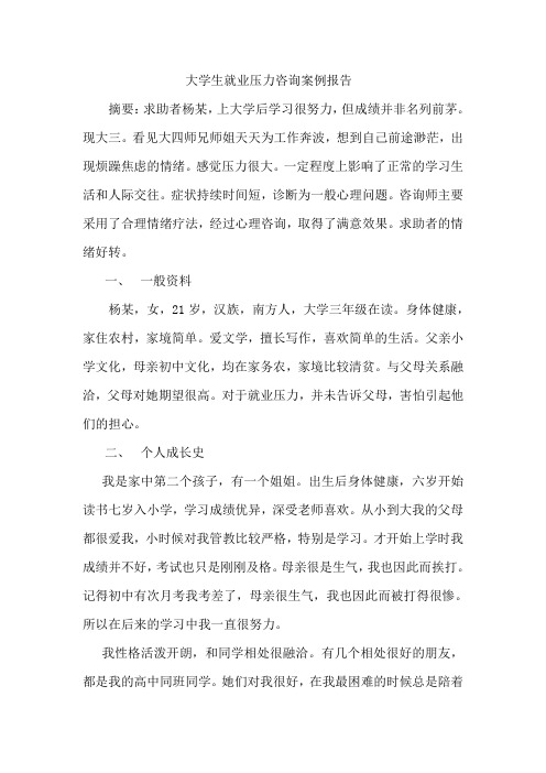 大学生就业压力咨询案例报告