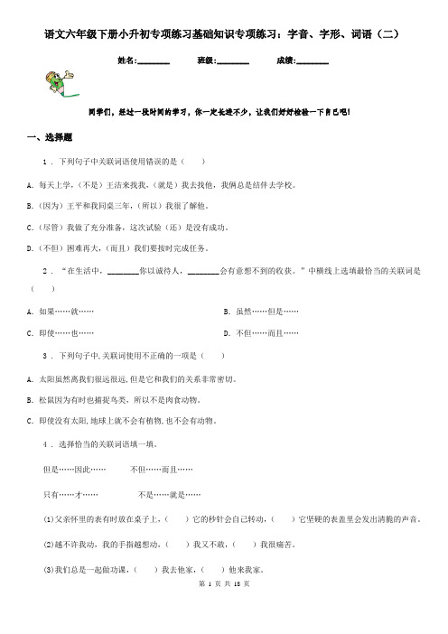 语文六年级下册小升初专项练习基础知识专项练习：字音、字形、词语(二)