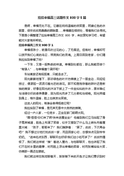 捡拾幸福高三话题作文800字5篇