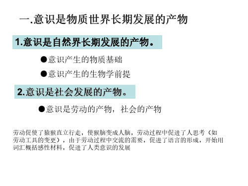 5.2-意识的本质和作用