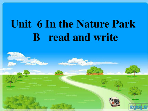 新PEP五年级英语上册Unit6 In a nature park B Read and write