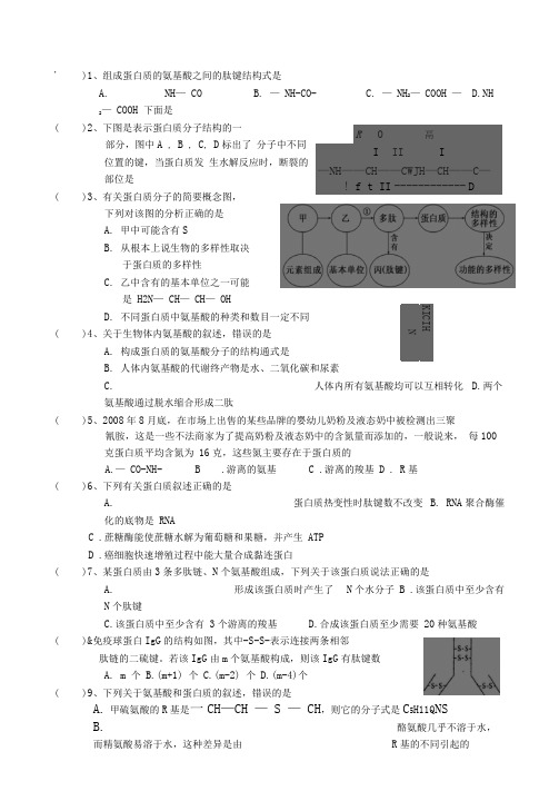 (一轮复习考试)精品试题生命活动的主要承担者——蛋白质