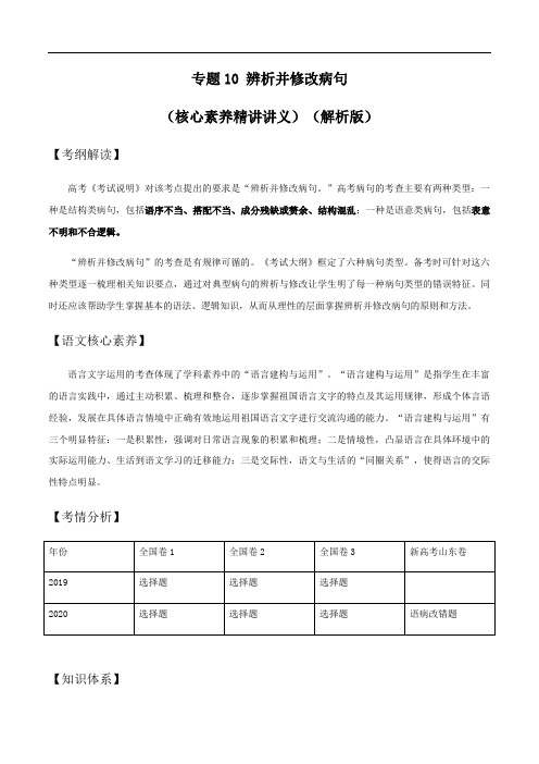 专题10 辨析并修改病句(核心素养精讲讲义)(解析版)