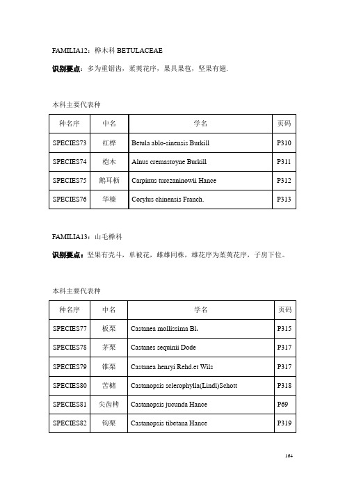 园林树木学课件