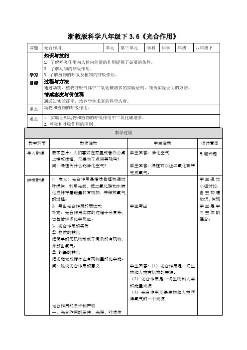 浙教版科学八年级下册 3.6 光合作用 教案 