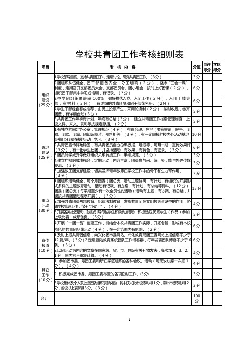 学校共青团工作考核细则表